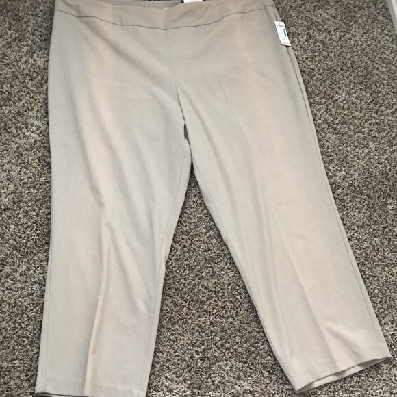 Roz&Ali Short Trouser Leg Tan Plus 24W - Picture 3 of 4